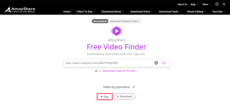 Free Video Finder