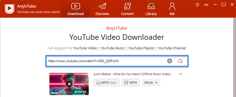 Justin Bieber What do you mean