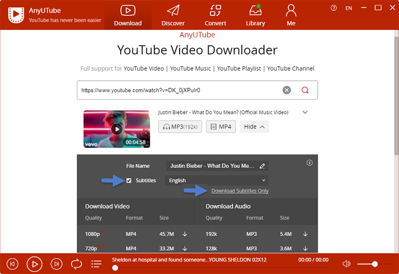 Download YouTube subtitles