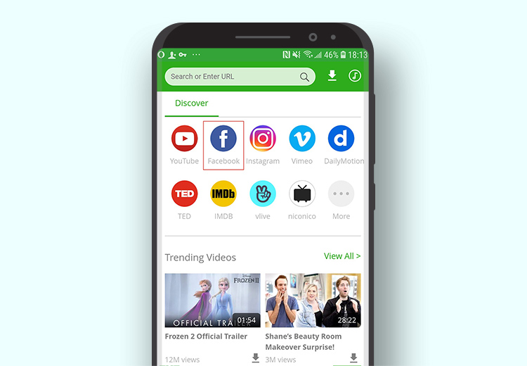 visit Facebook within the AnyVid app