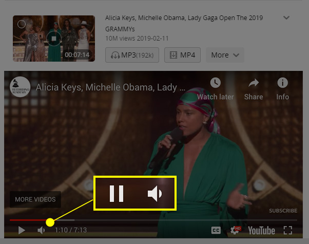 Adjust volume and screen size in watching mode