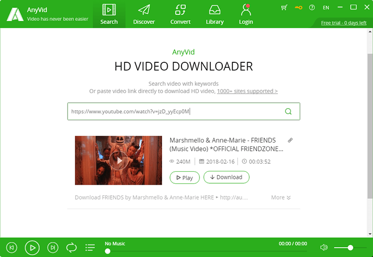 AnyVid