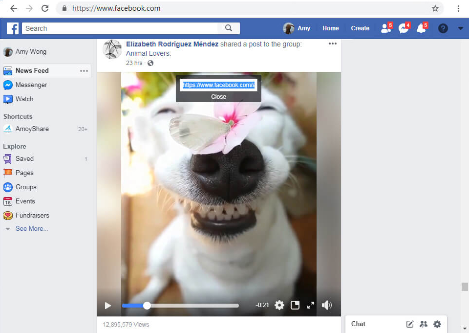 copy Facebook video URL