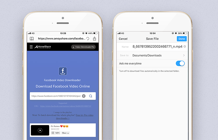Paste the URL of ce frumos video from Facebook