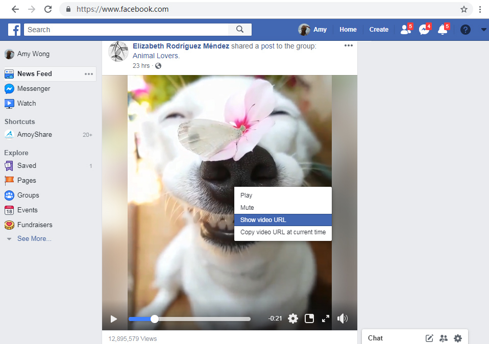 show video url on Facebook