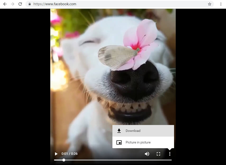 save Facebook video with Amoyshare Facebook video downloader
