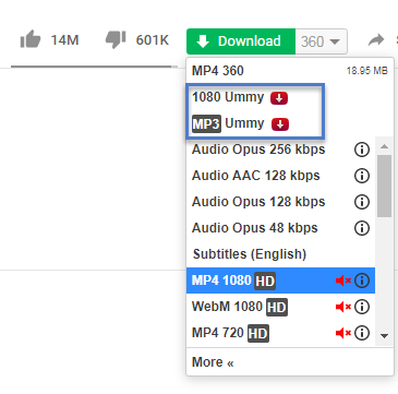 options to download videos