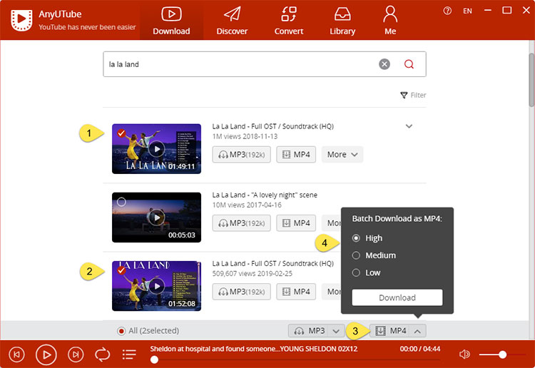 YouTube batch download