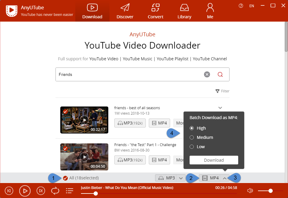 batch download YouTube playlist