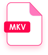 MKV Converter