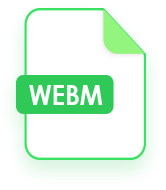 WebM Converter