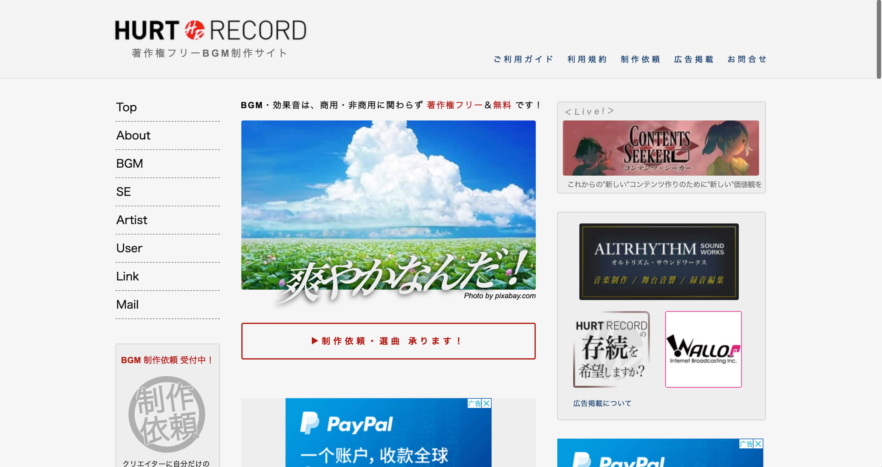 HURT RECORD