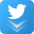 Twitter Video Downloader