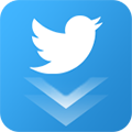 Twitter Video Downloader