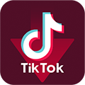 Tiktok Video Downloader