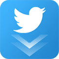 Twitter Video Downloader