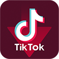 Tiktok Video Downloader
