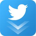 Twitter Video Downloader