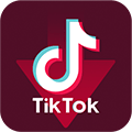mp4 downloader tiktok mp4 downloader tiktok