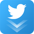 Twitter Video Downloader