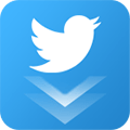 Twitter Video Downloader