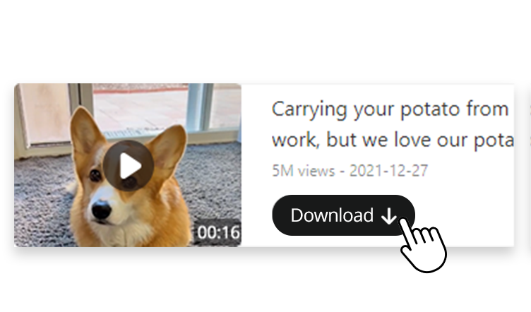 Download TikTok
