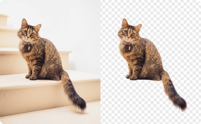 Remove background around hair