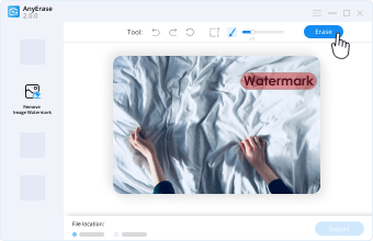 Click section tool to select the watermark area