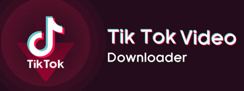 tik tok downloader