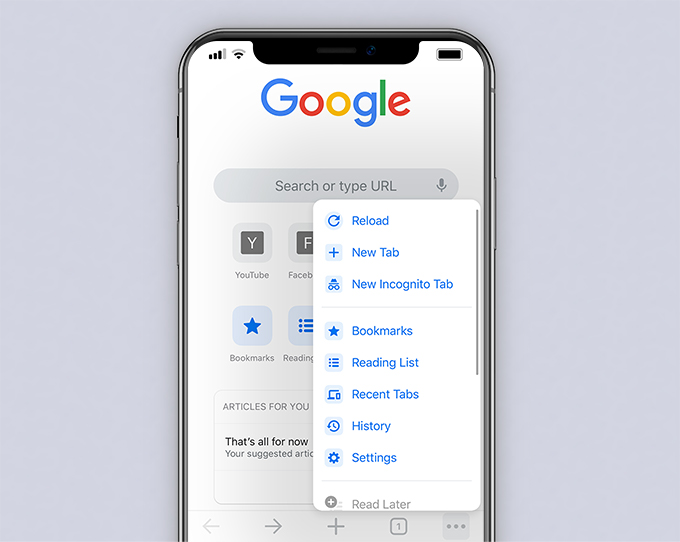 iPhone Browser Browser Daten löschen