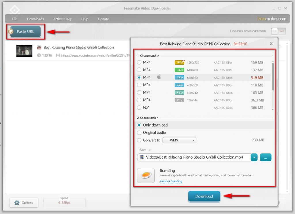 Interface de téléchargement du téléchargeur de vidéos Freemake