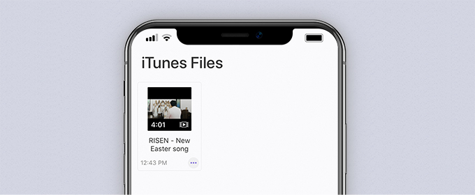 Загруженный файл скопирован из iTunes Files