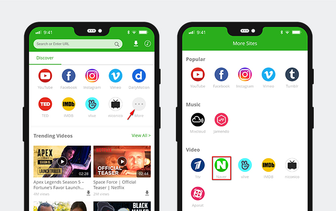 Usa il browser Naver integrato in AnyVid