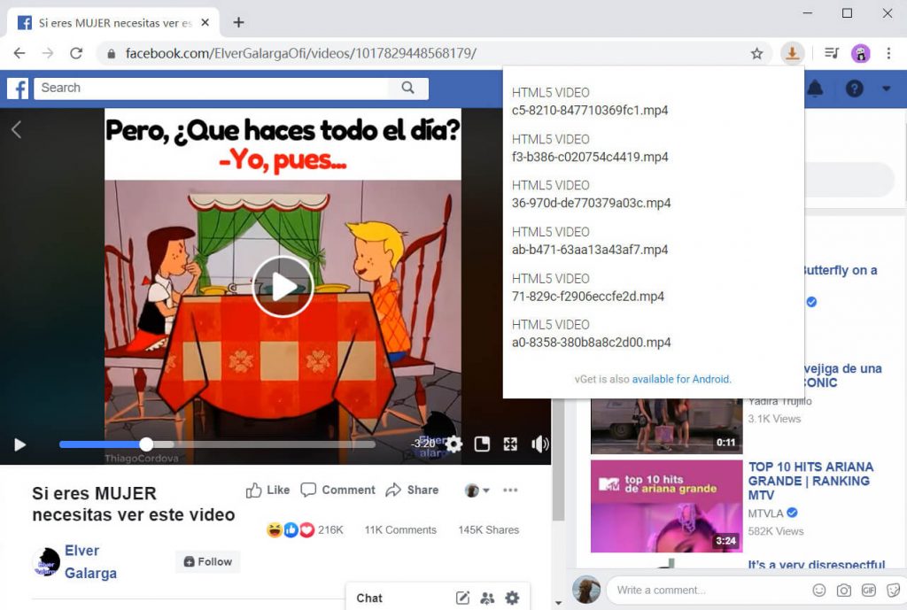 Extensión vGet (Facebook)