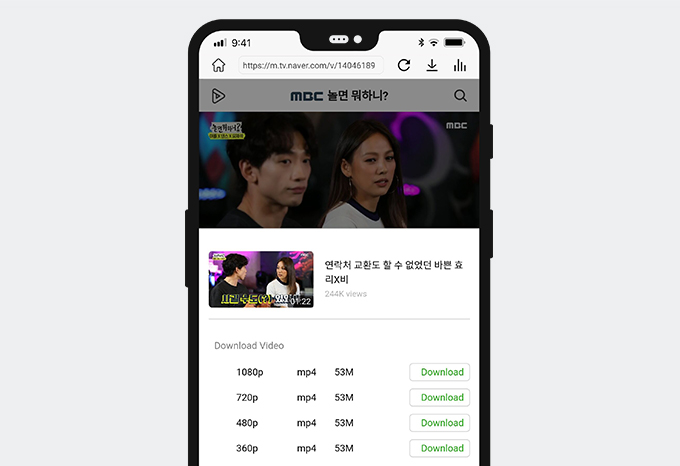 Download Naver video with AnyVid