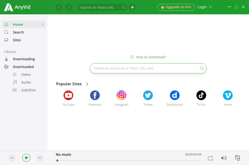 AnyVid interface