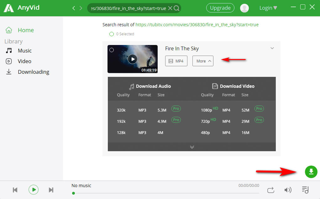 AnyVid download interface