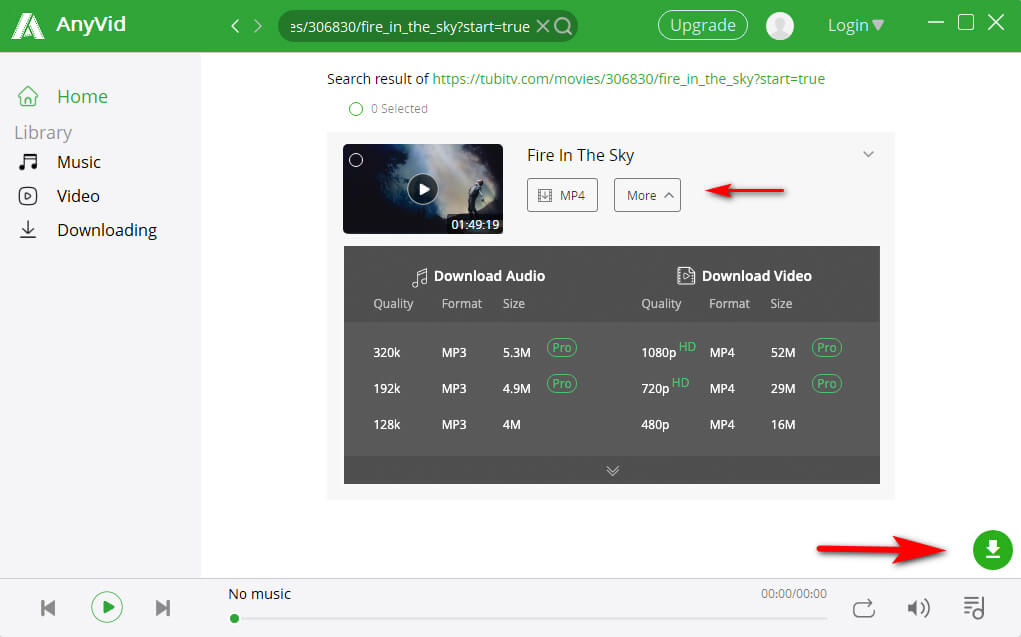 Interface de download AnyVid