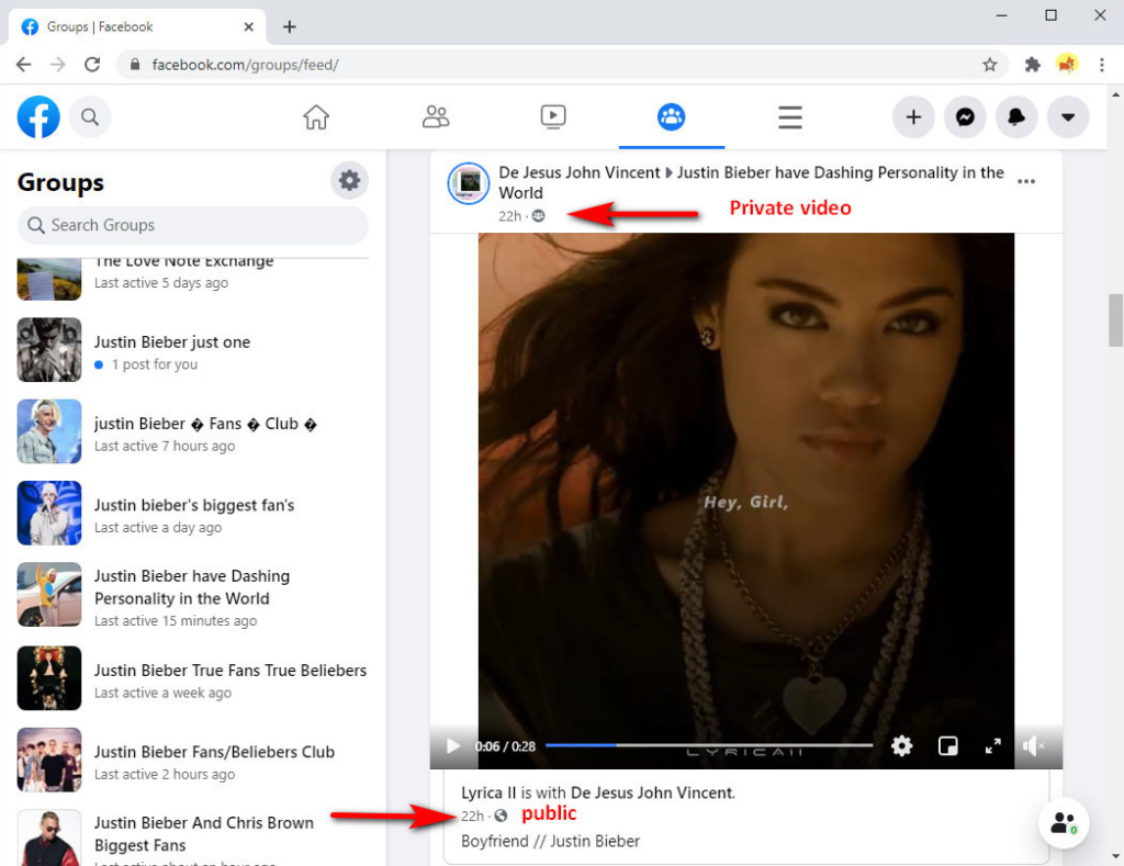 SCARICARE DA FACEBOOK VIDEO PRIVATI Evaskebjoernen