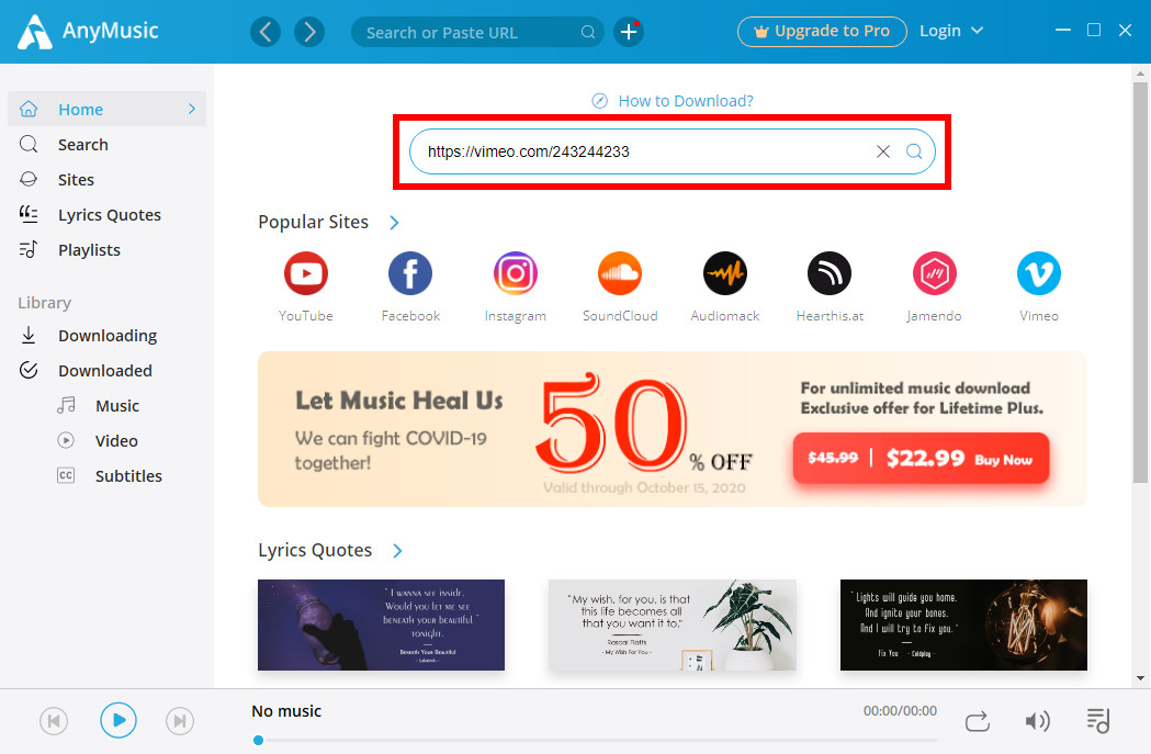 Paste the URL into AnyMusic search bar