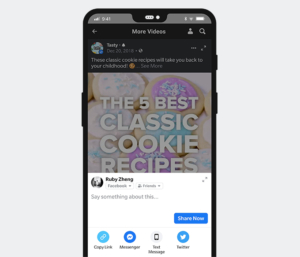 facebook to mp4 private video