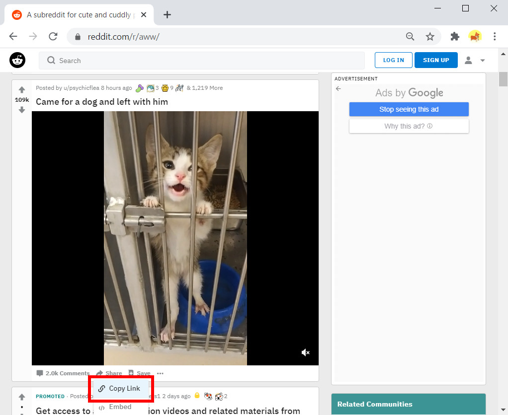 Encontre o link do vídeo do Reddit