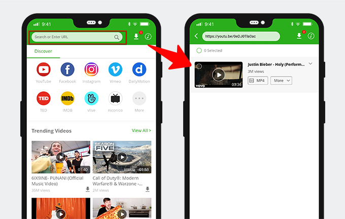 Launch AnyVid and paste the link