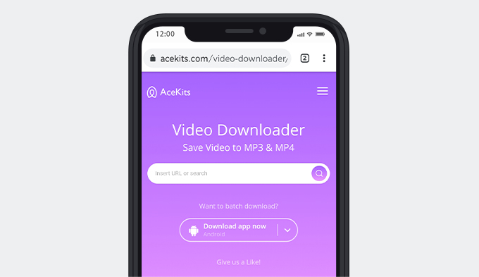 Descargador de videos AceKits