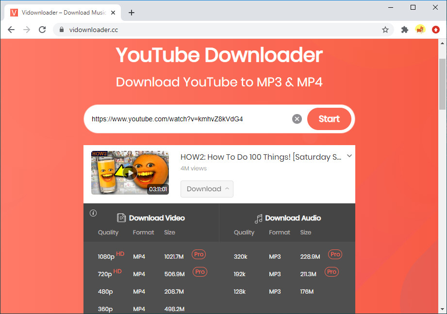 VidDownloader