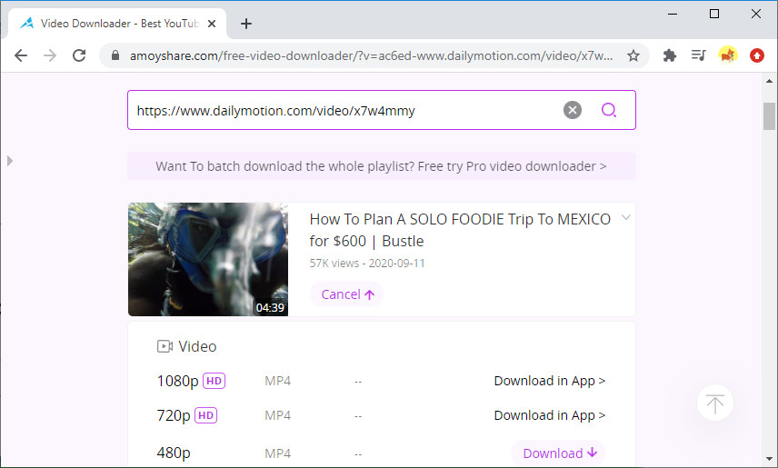 Scarica video Dailymotion online con Free Video Finder