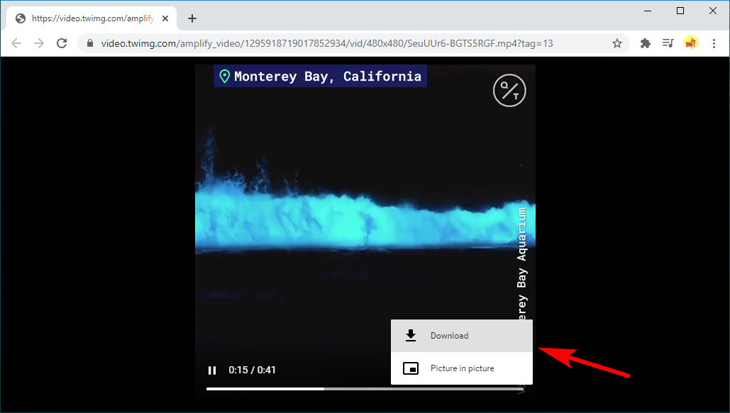 Téléchargez la vidéo Twitter en ligne