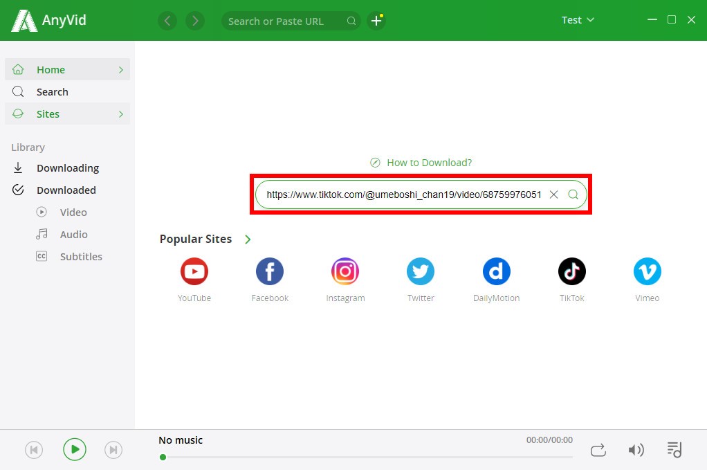 Paste Tik Tok video link in AnyVid search bar