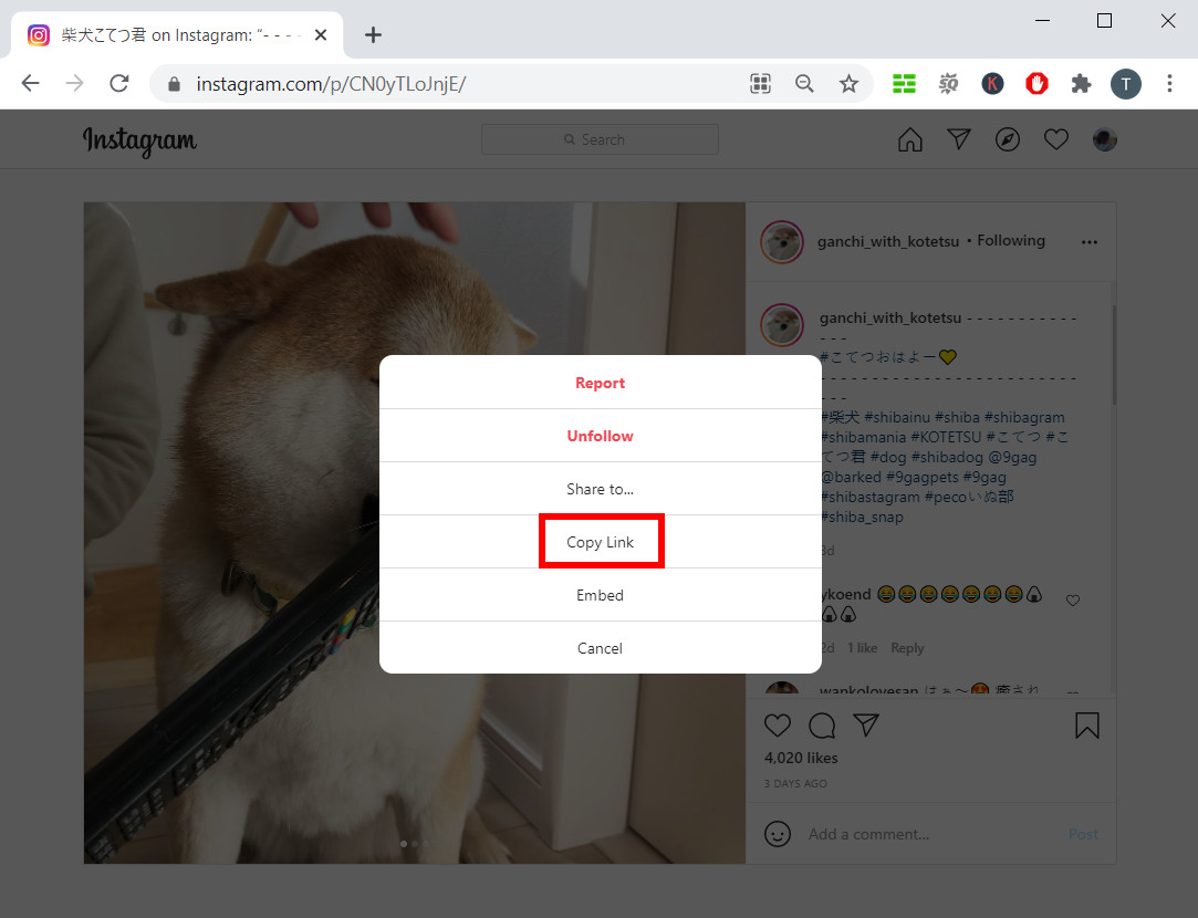 Copier l'URL de la photo Instagram