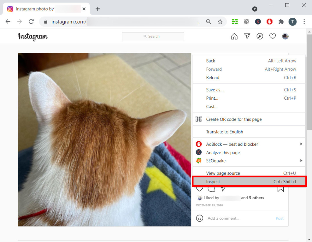 How to Download Private Instagram Photos? [2024 Newest]